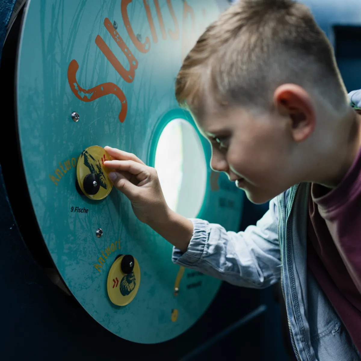 1200 X 1200 Junge Suchspiel (1)