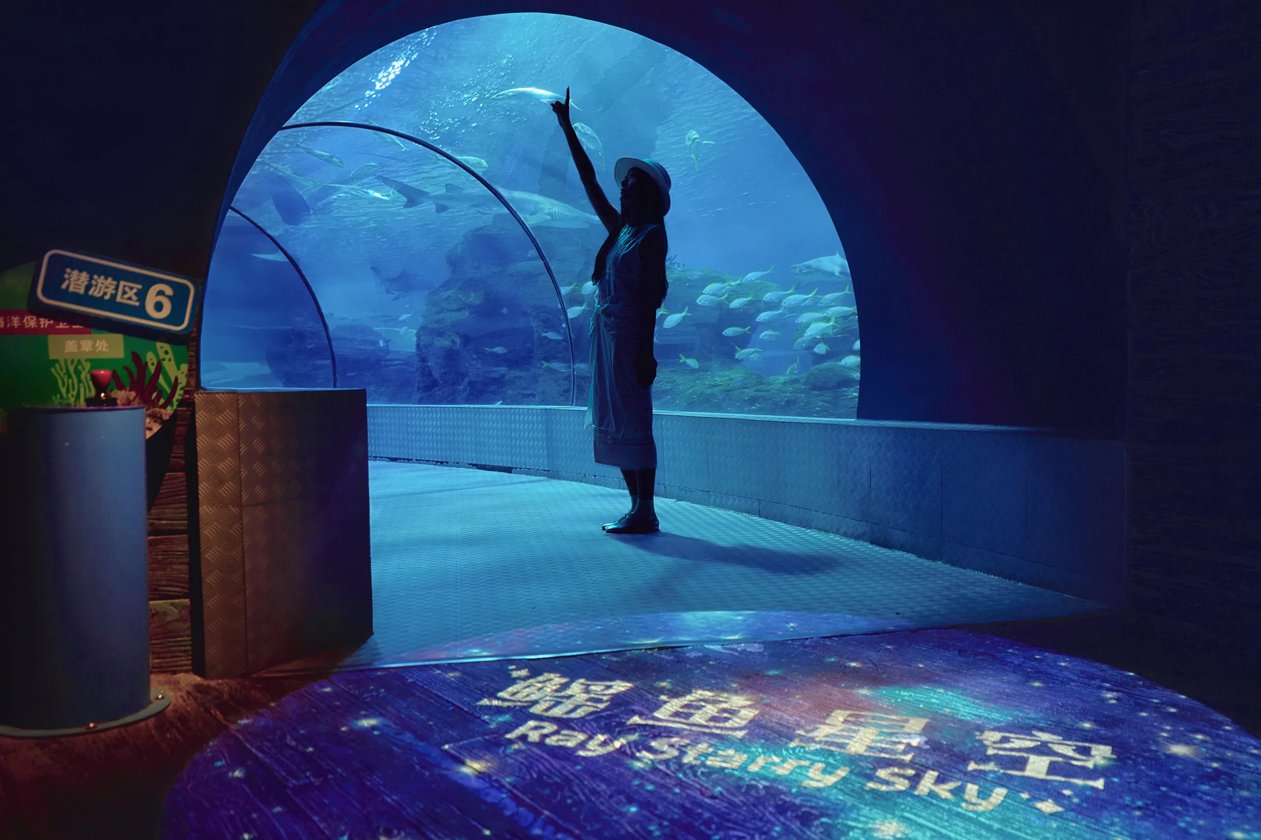 Ray Starry Night (1)