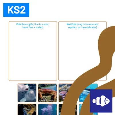 SL Are All Sea Creatures Fish 1080X1080