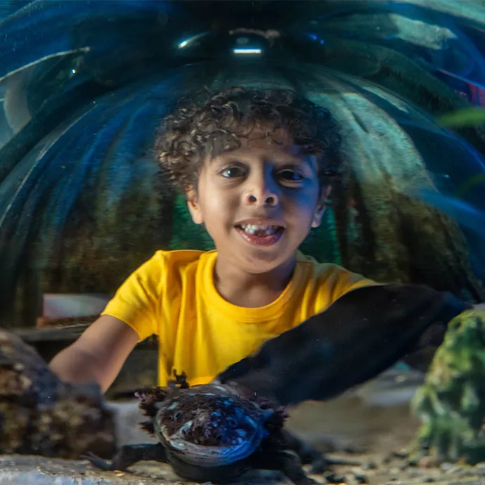 Blog #1 Hero Image 690X690px