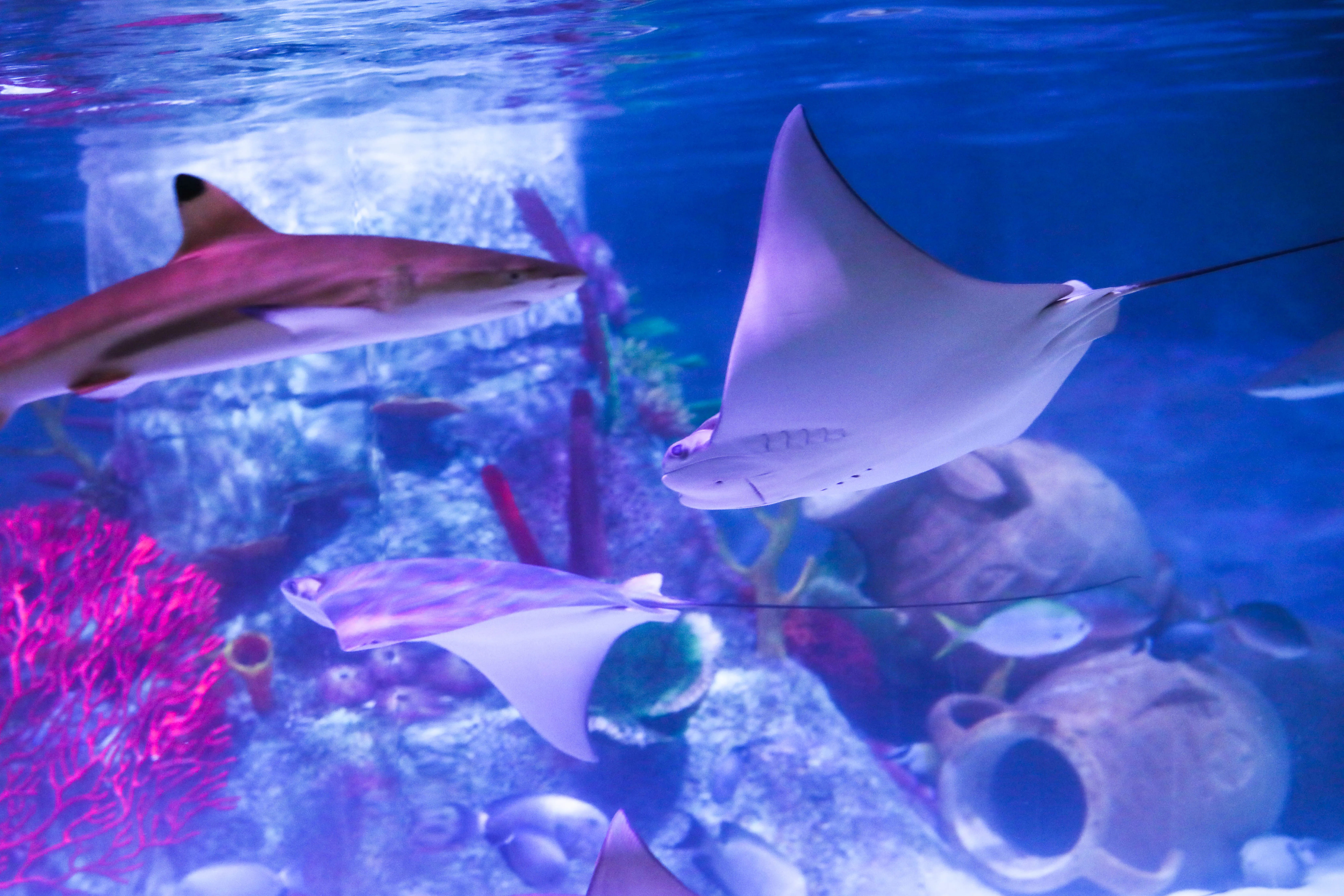 微信图片 20251022151155