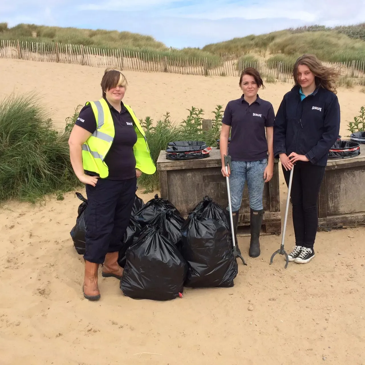 Beach clean collection