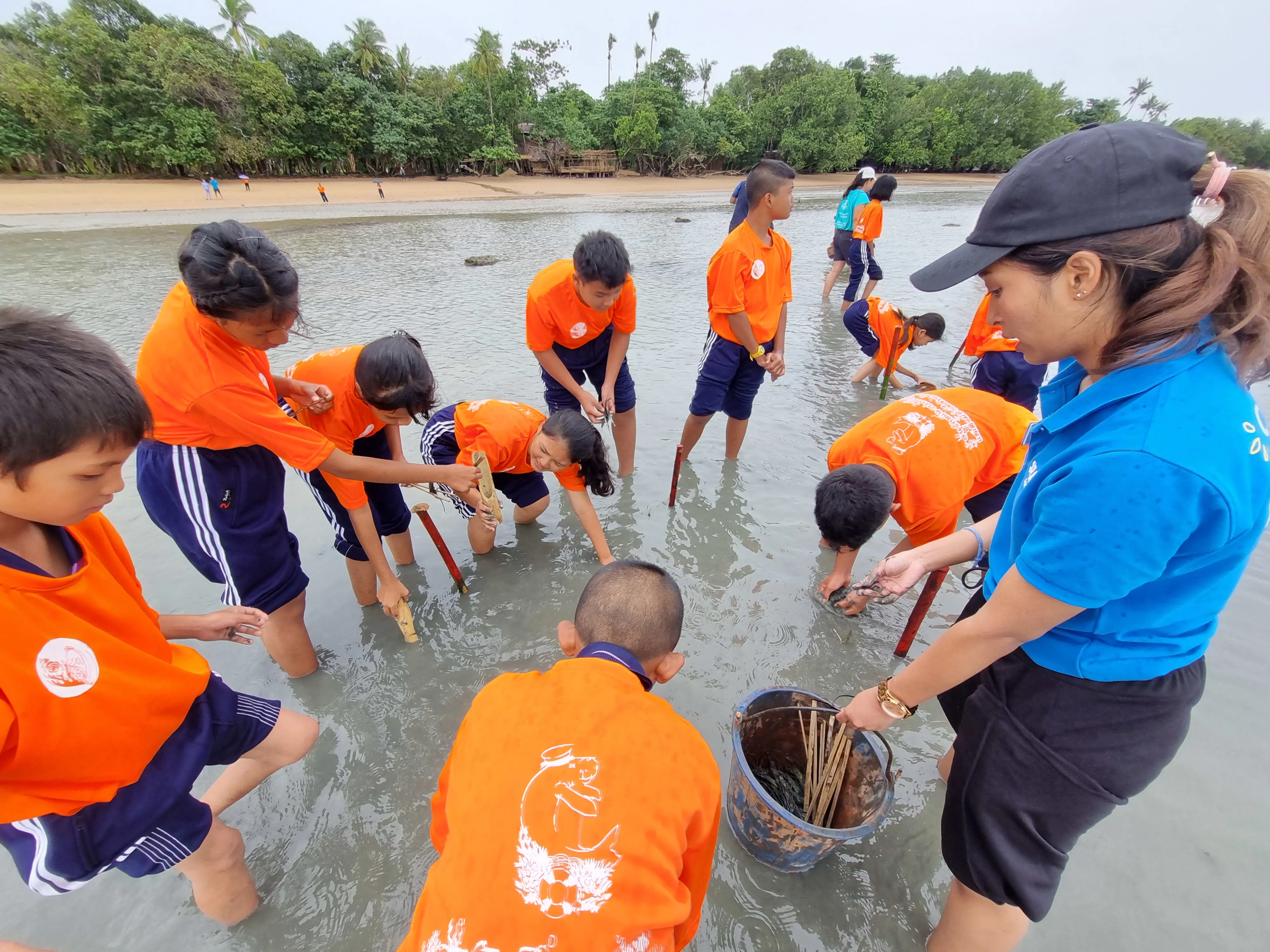 Seagrass 5 (1)