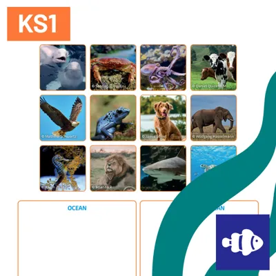 SL What Will I Find In The Ocean 1080X1080