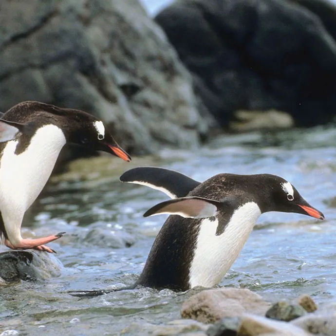 SL Blog #6 Hero 690X690px