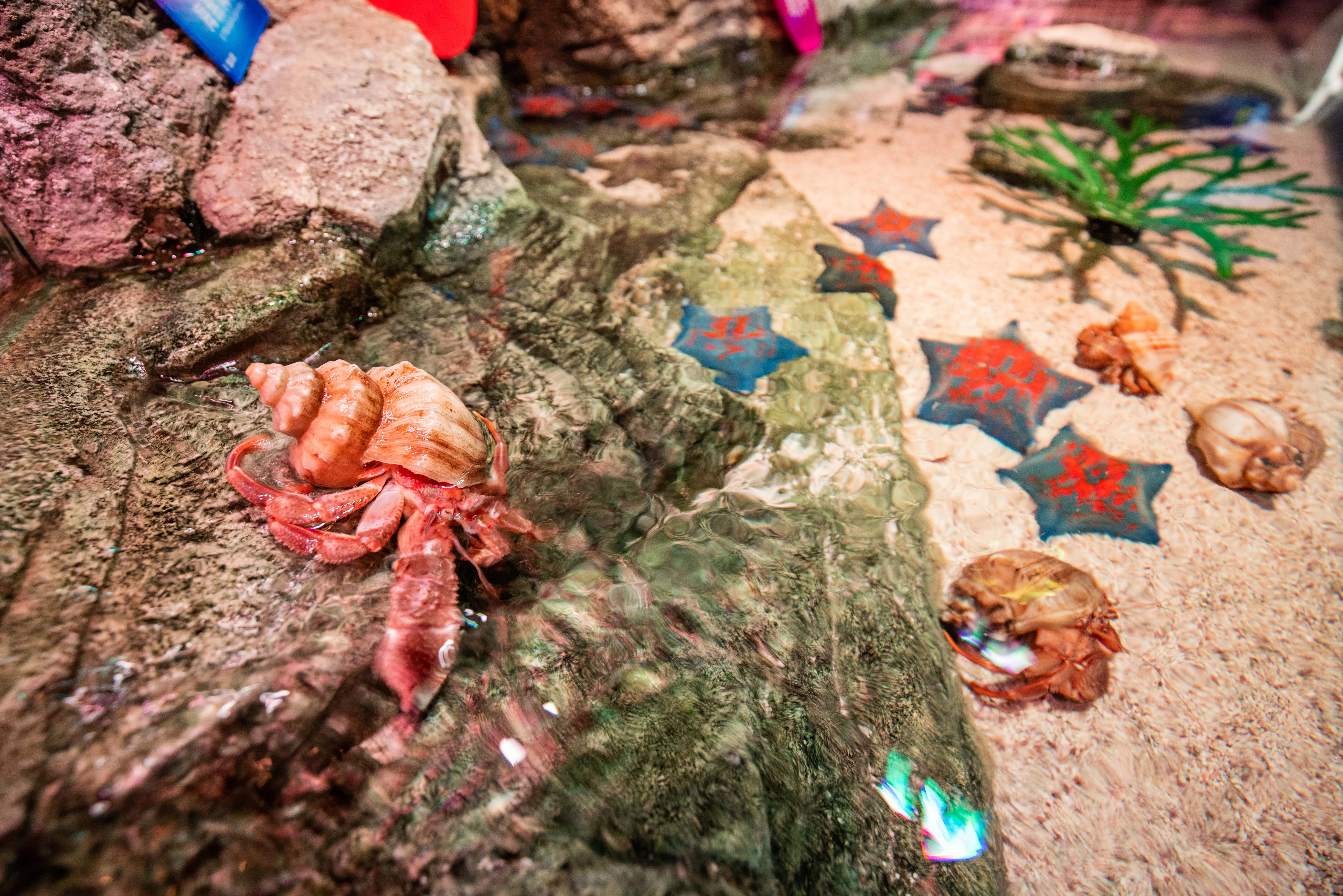 微信图片 20251022151202