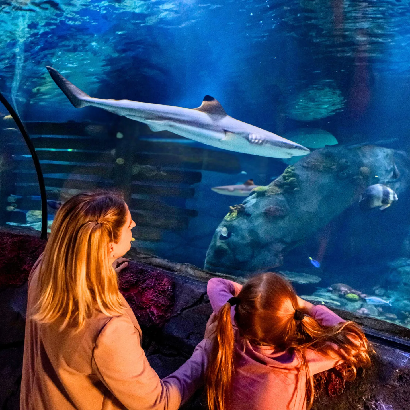 Square Paid Media 25 (1)