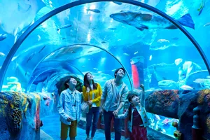 Explore the aquarium