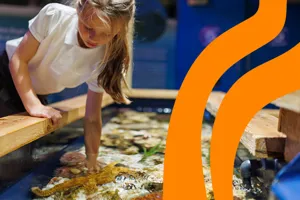 SEA LIFE Schools Image V3 1200X700