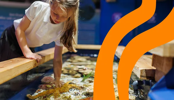 SEA LIFE Schools Image V3 1200X700