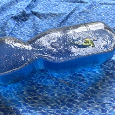 Shark Sensory Bottle