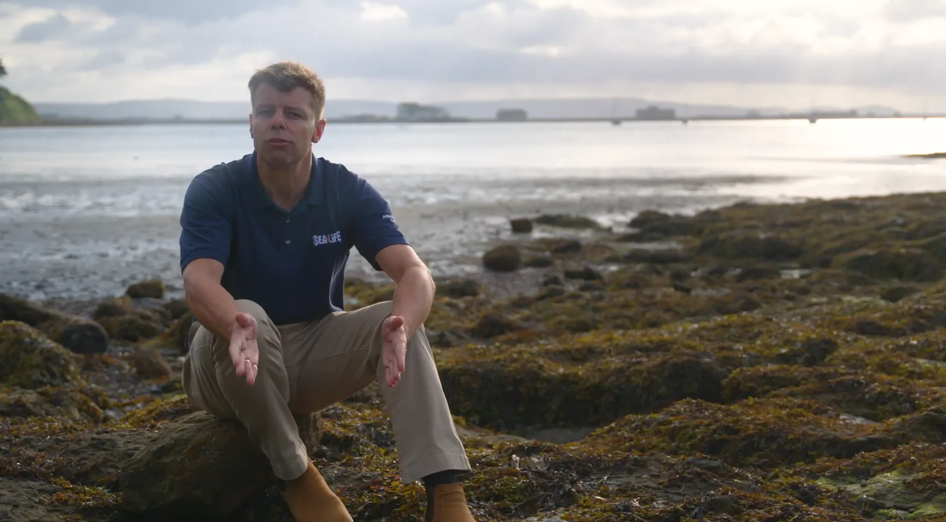 Conservation At SEA LIFE Video