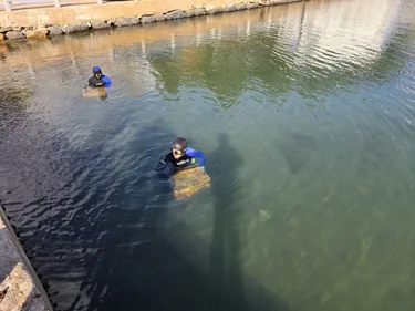 Replanting Of Common Eelgrass 2024.12.05 7