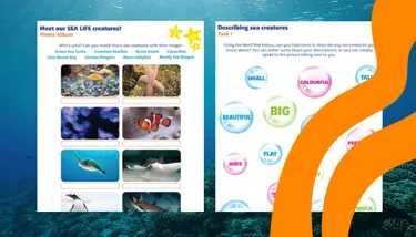 Blog #4 Image#3.1 720X410px