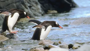 SL Blog #6 Hero 720X410px