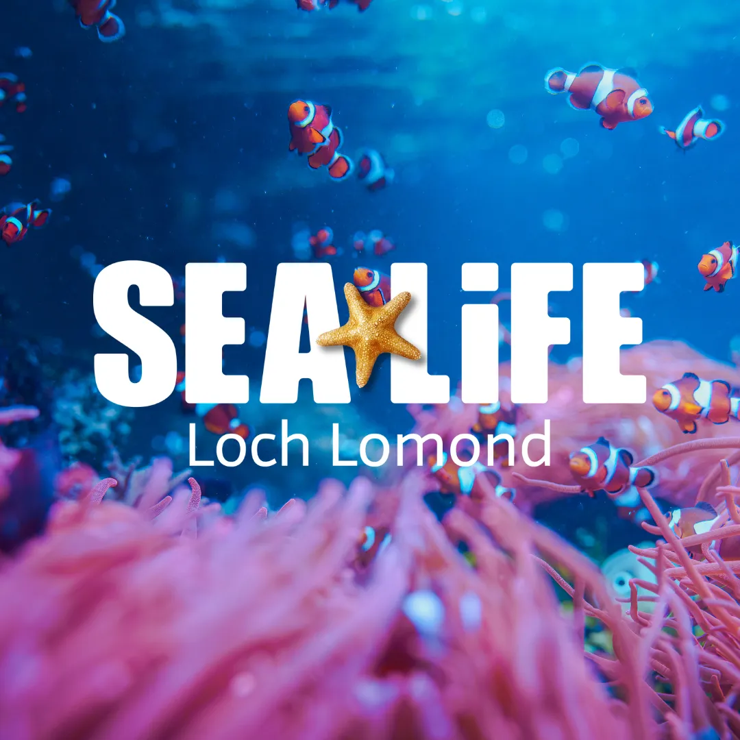 Loch Lomond