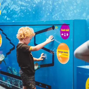 A Child Tries Out The New Turtle Rescue Experience