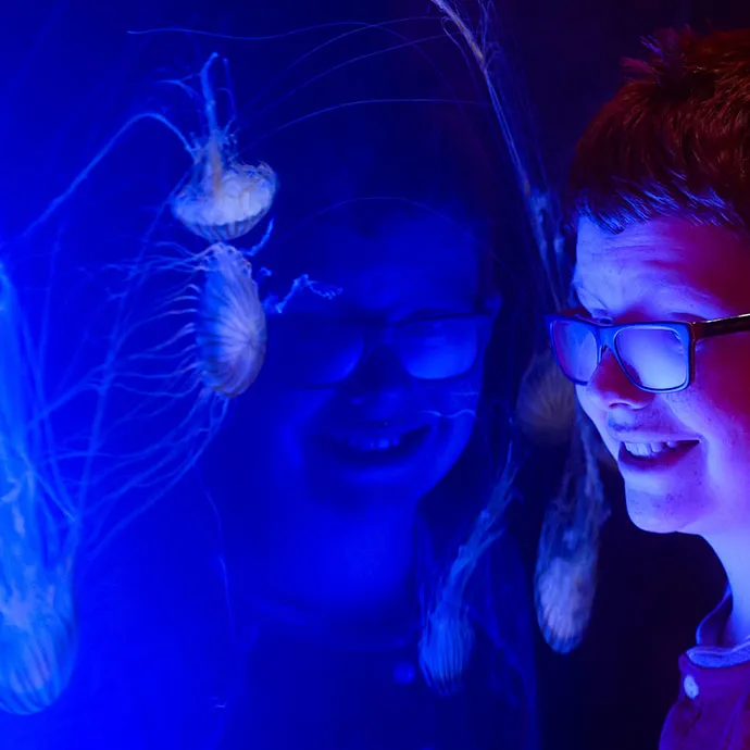 SL Blog #5 Hero 690X690px