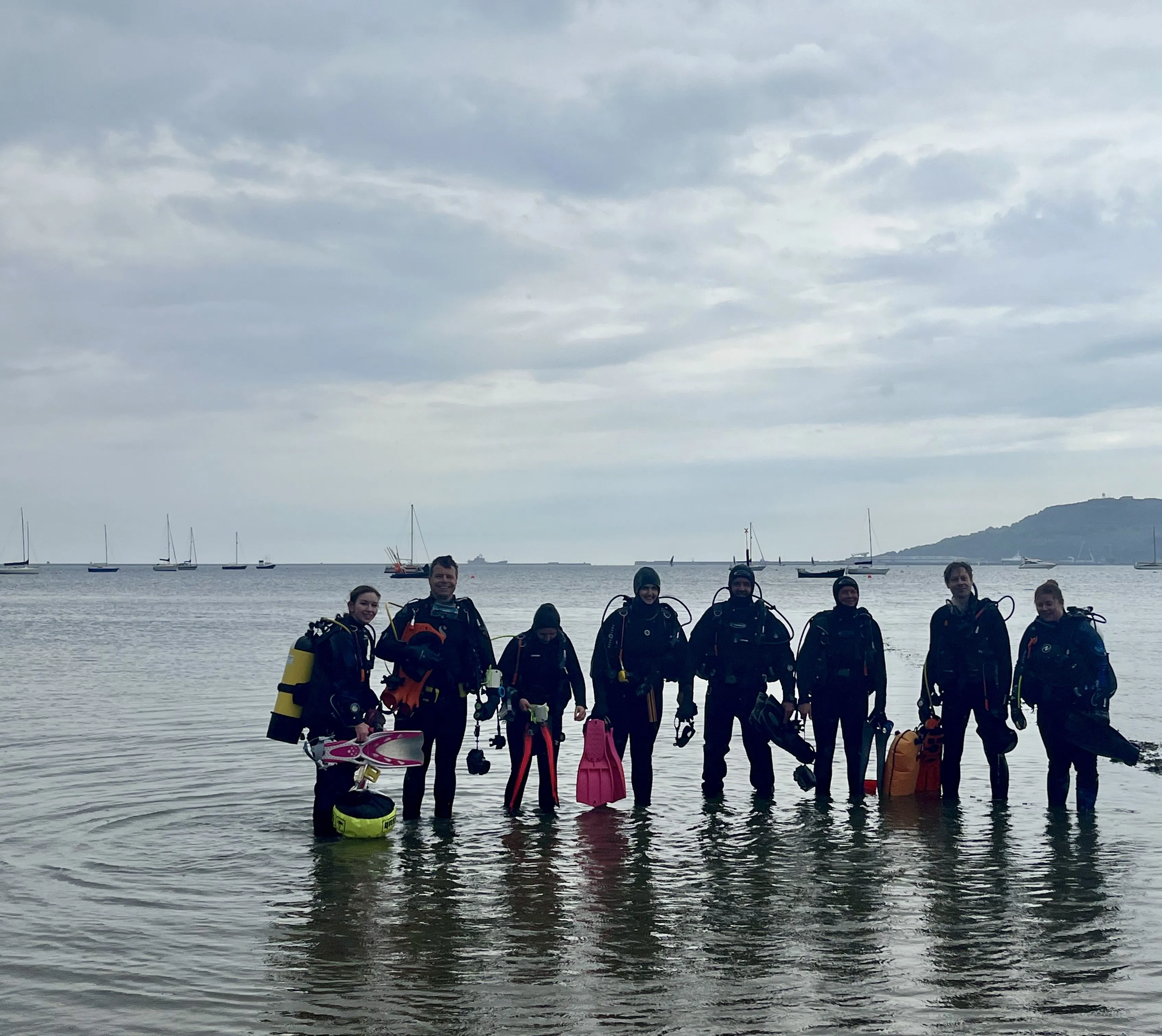 Seahorse Surveys