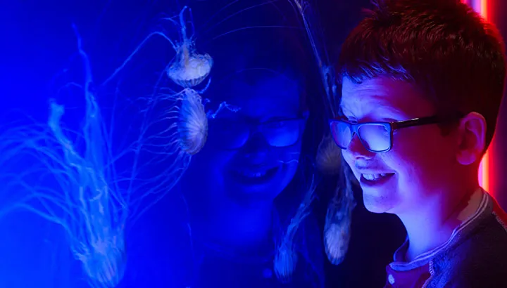 SL Blog #5 Hero 720X410px