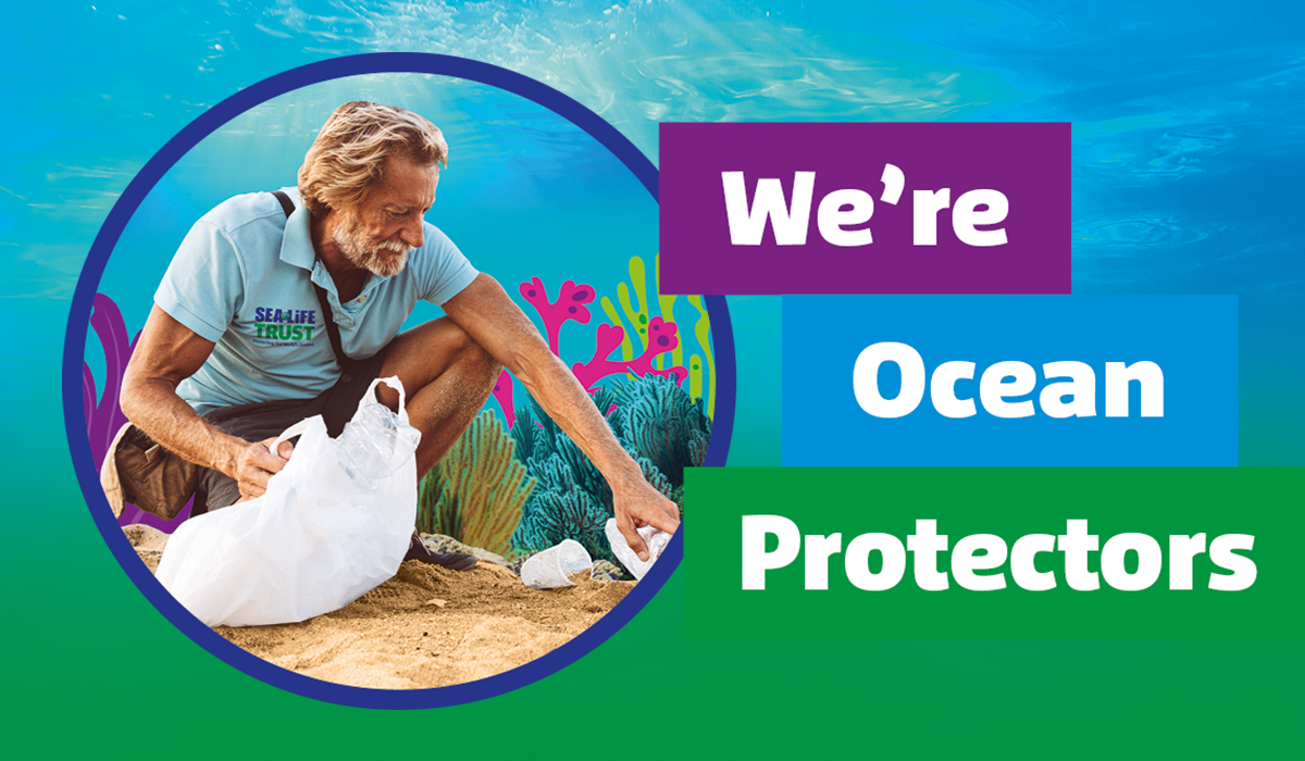 We Are Ocean Protectors 1200X700