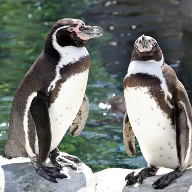 SL Blog #6 Image 2 690X690px