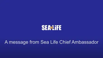 A message from SEA LIFE ambassador