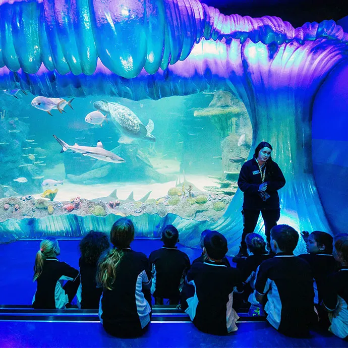 Blog #2 Hero Image 690X690px