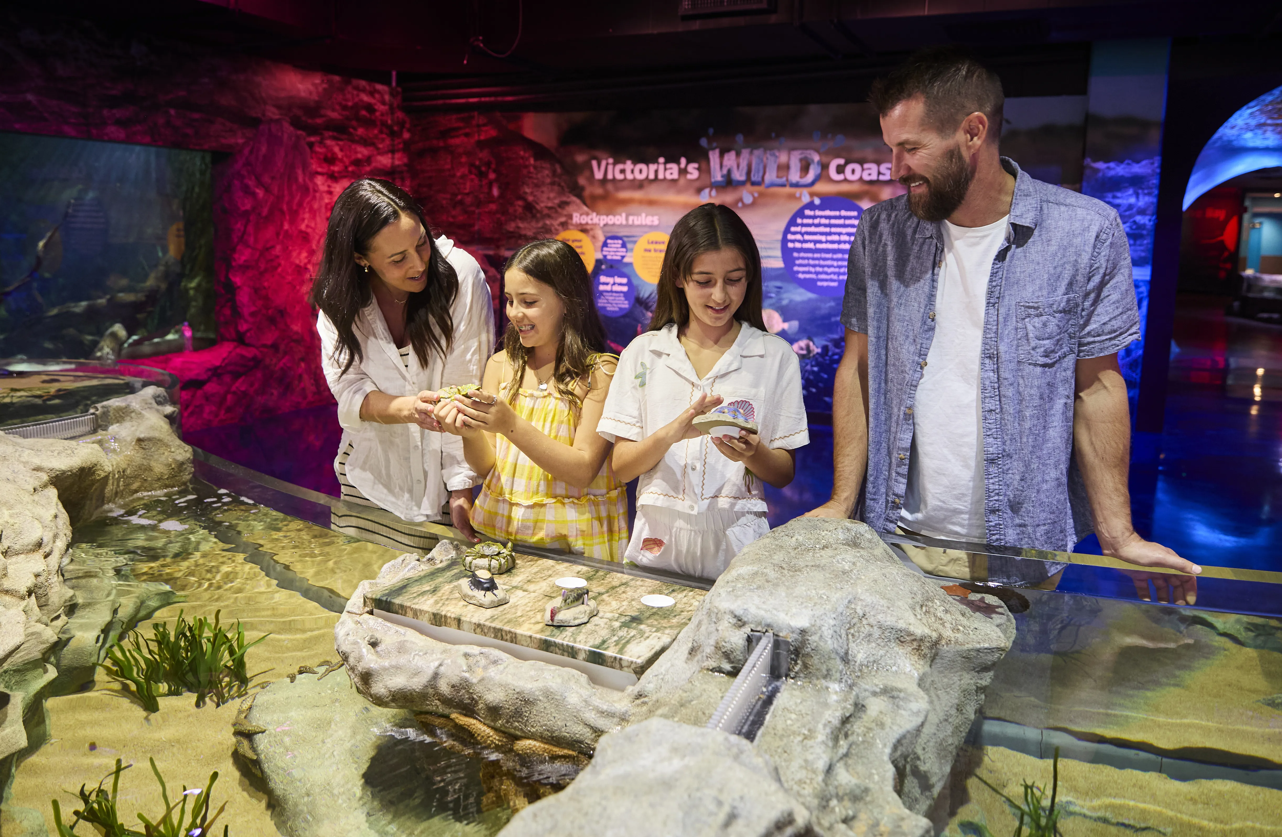 00016 SLMA Rockyshores2025 [USE GLOBAL] [EXP INPERP] Family Exploring Interactive Features