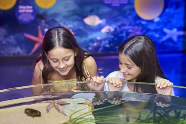 Children exploring an interactive marine habitat at SEA LIFE Melbourne Aquarium