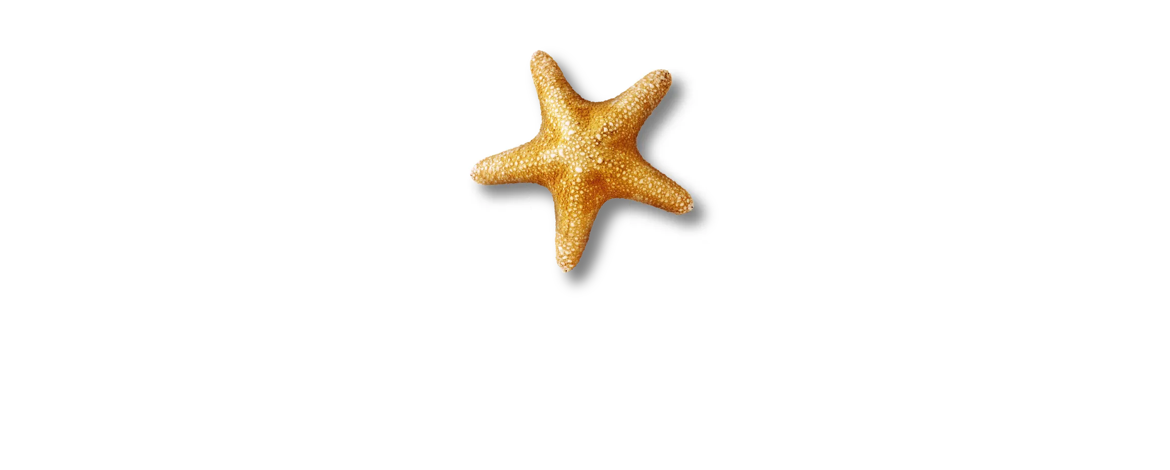 SEA LIFE + Melbourne (White Text) RGB