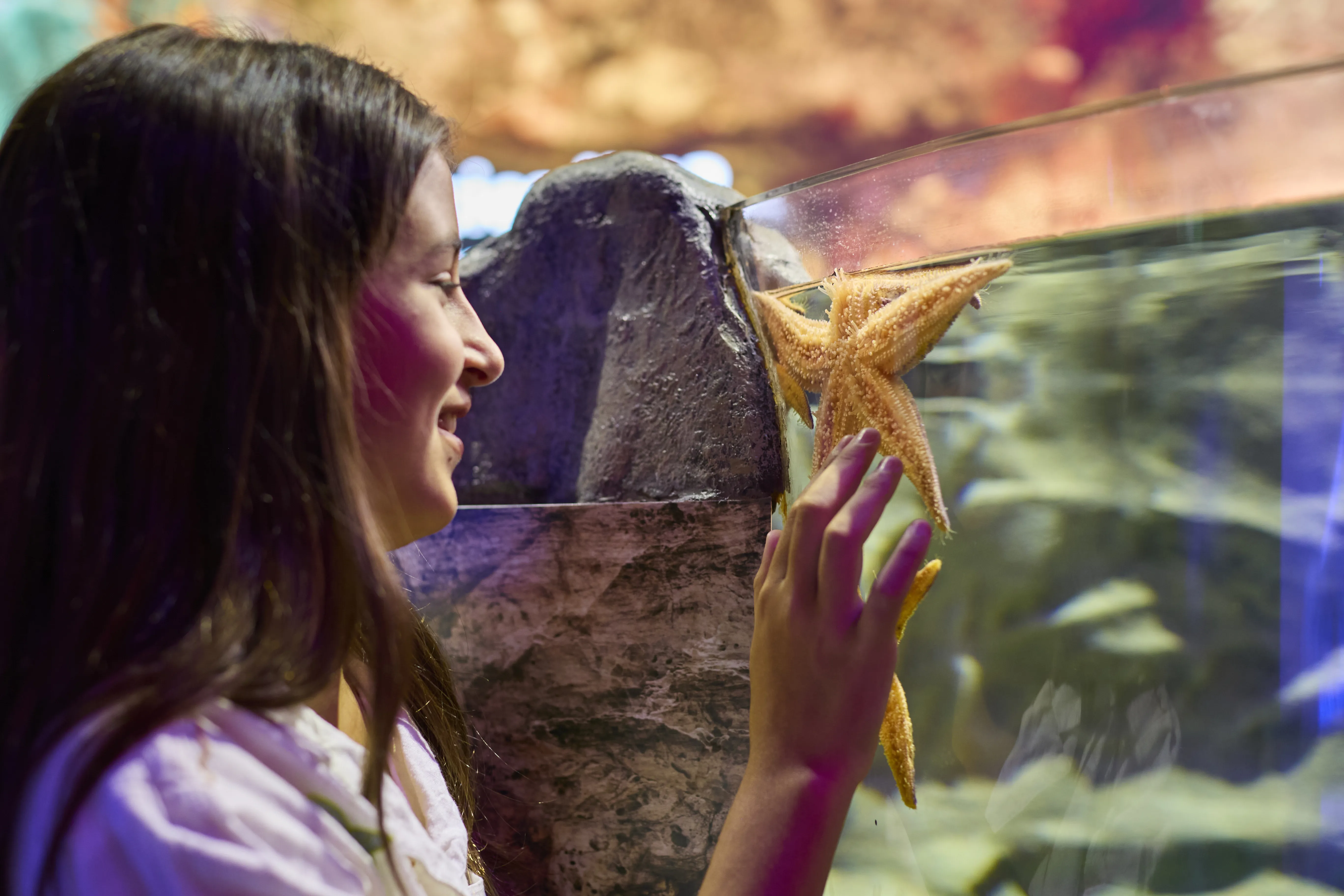 00018 SLMA Rockyshores2025 [USE GLOBAL] [EXP INPERP] Girl Admiring Starfish