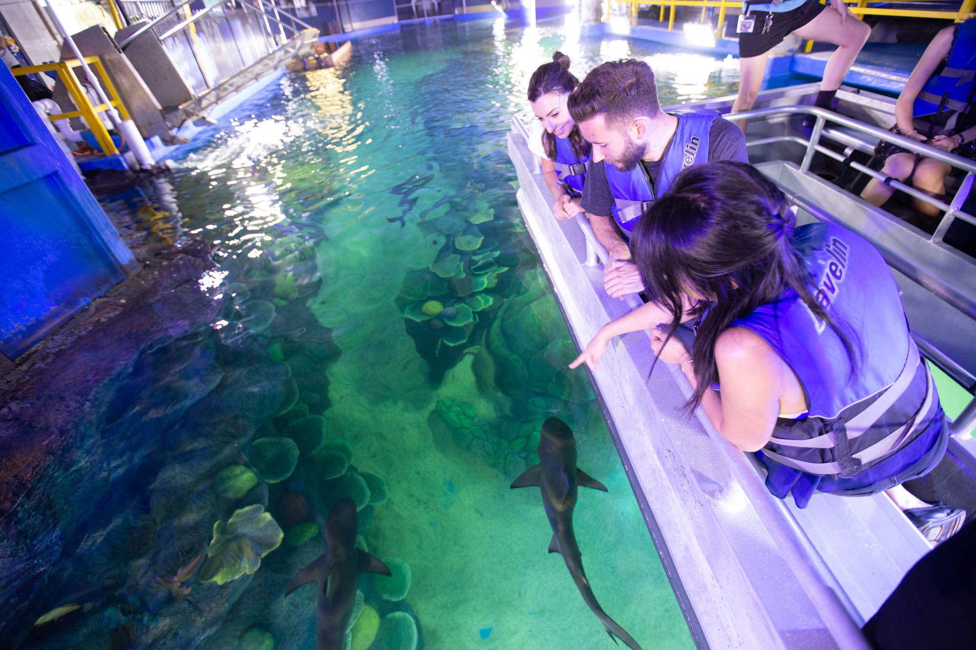 glass bottom boat tour melbourne aquarium