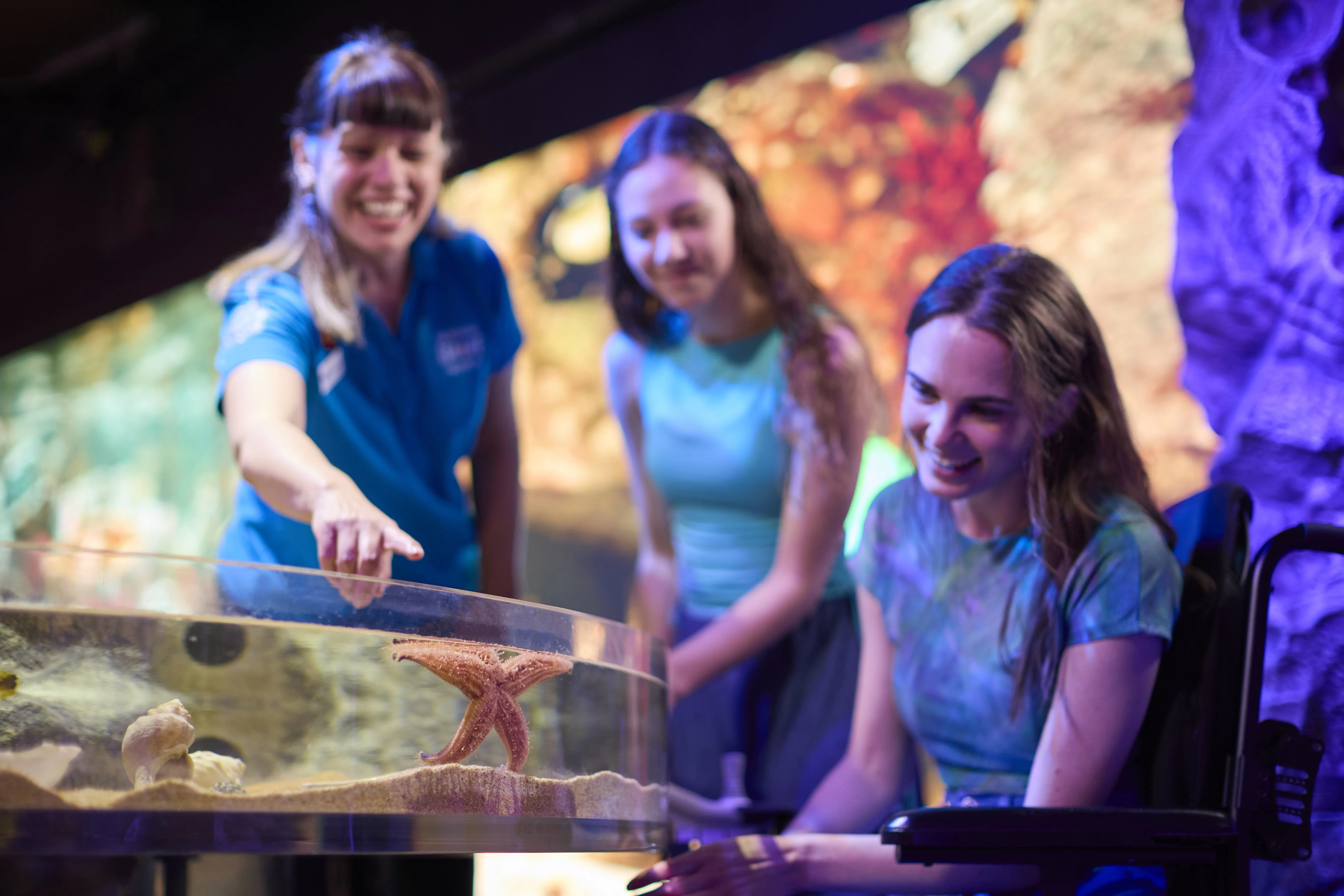 00012 SLMA Rockyshores2025 [USE GLOBAL] [EXP INPERP] Guest Admiring Starfish