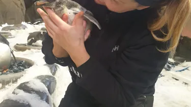 20191109 090627