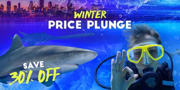 Winter Price Plunge Webticket 06 06