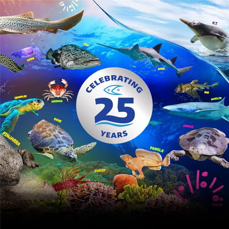 25 Years SEA LIFE (1080X1080px)