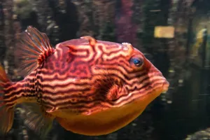 123764567 638988100063590 974018809538660588 N