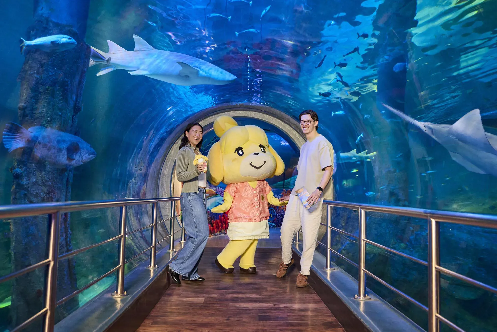 Kp 001 Animal Crossing 260526