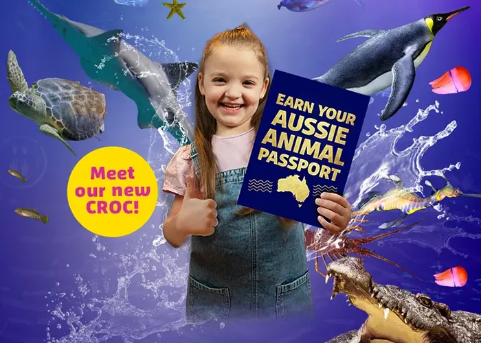 AAP Event Teaser SLMA