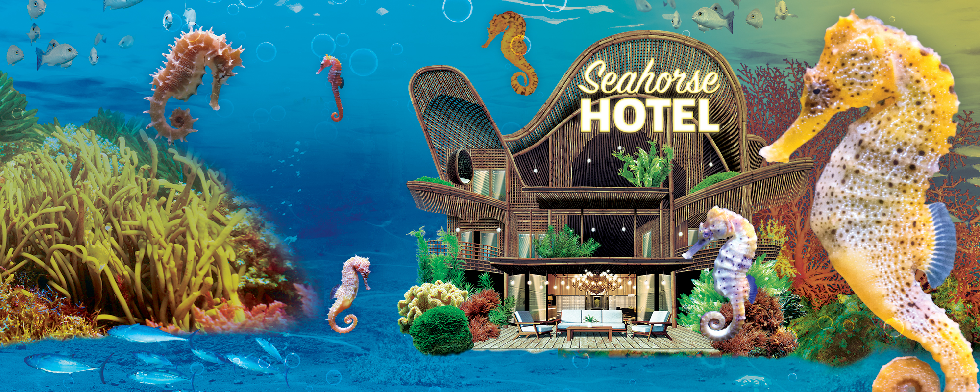 SEALIFE SEAHORSES Homepage Header 2000X800px (1)