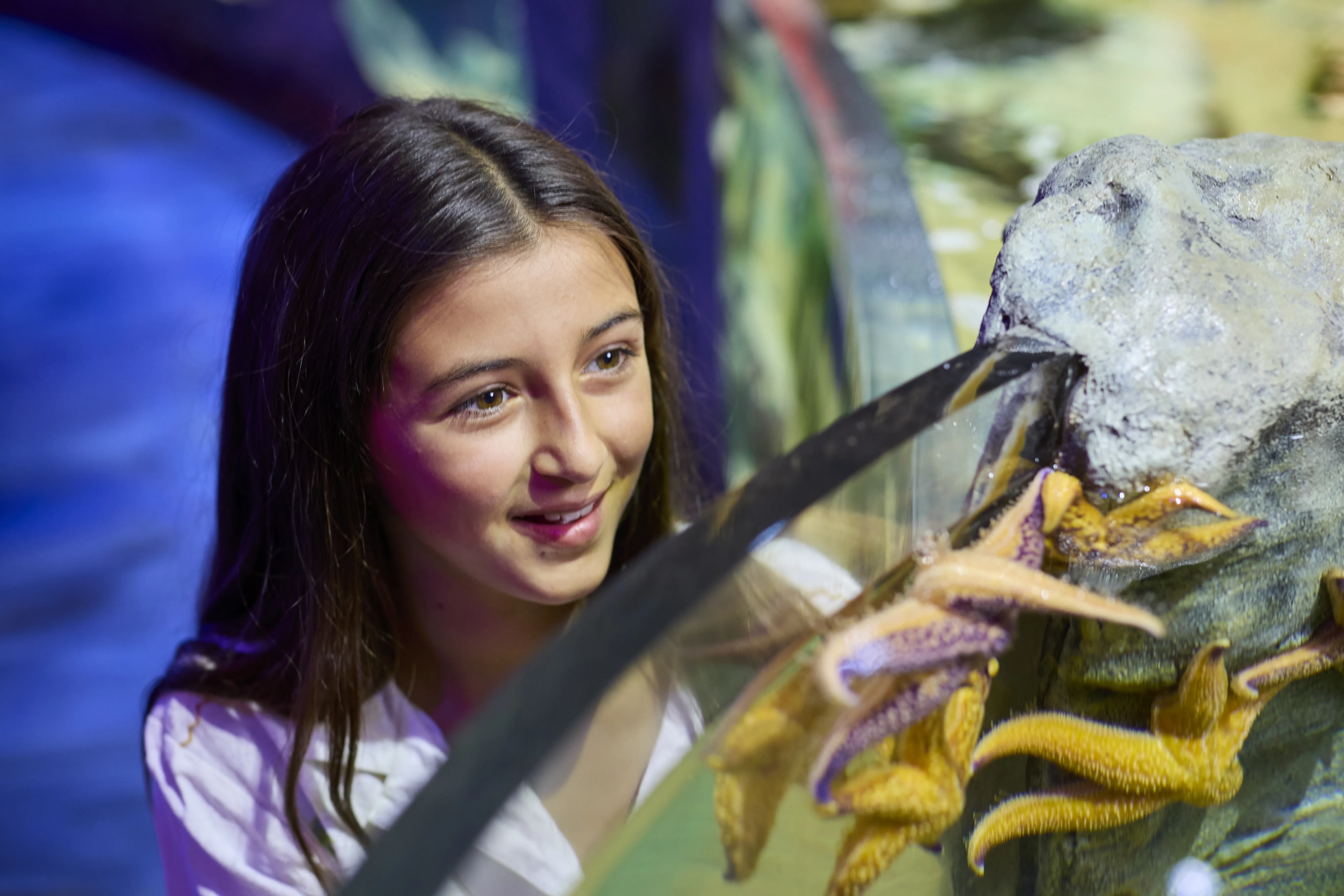 00017 SLMA Rockyshores2025 [USE GLOBAL] [EXP INPERP] Girl Admiring Starfish