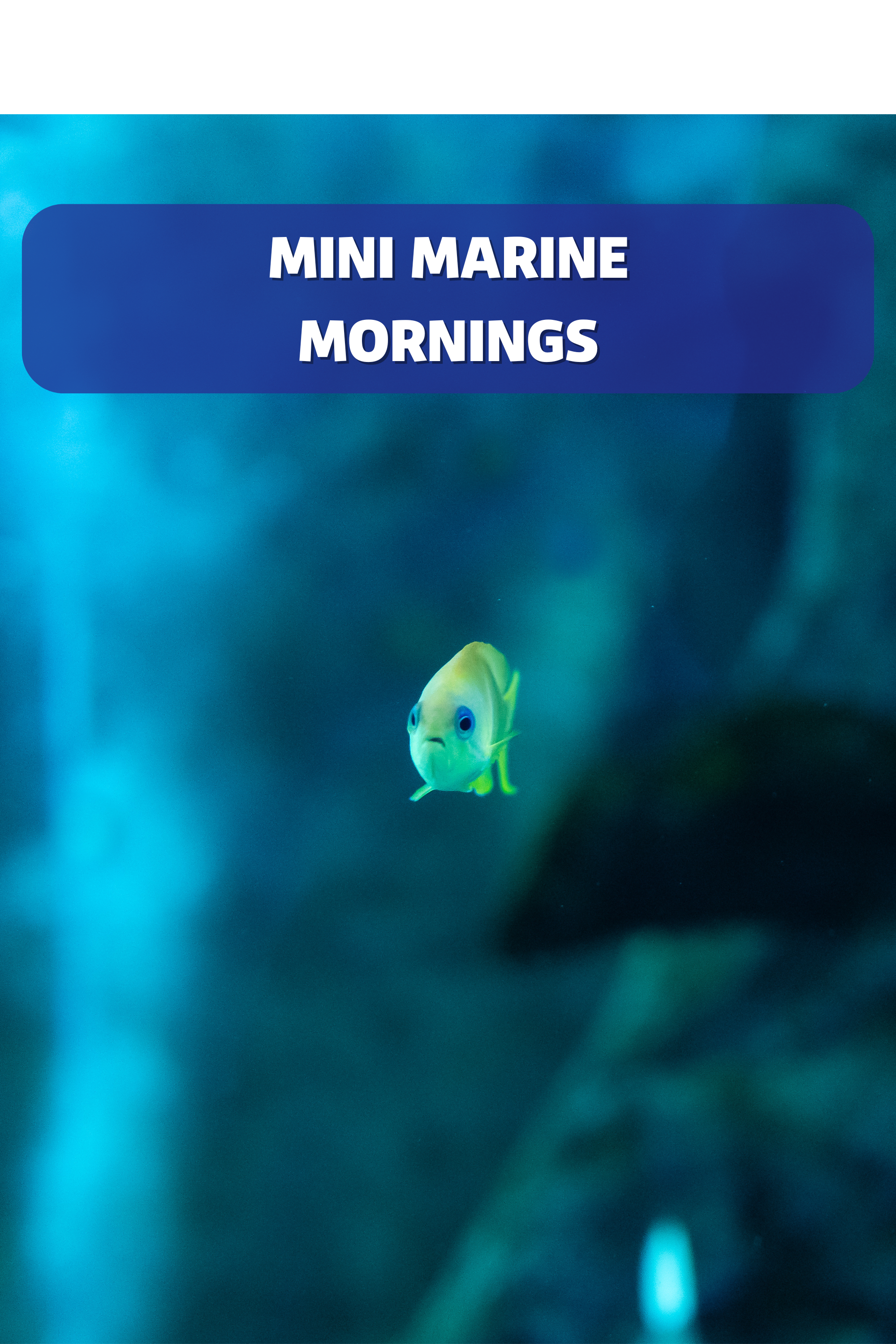 mini marine mornings