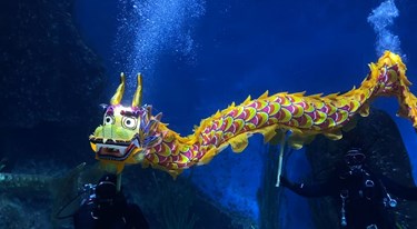 Underwater Dragon Dance Lunar New Year