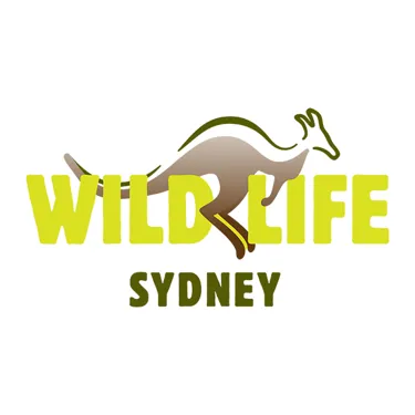 WLS 600X600