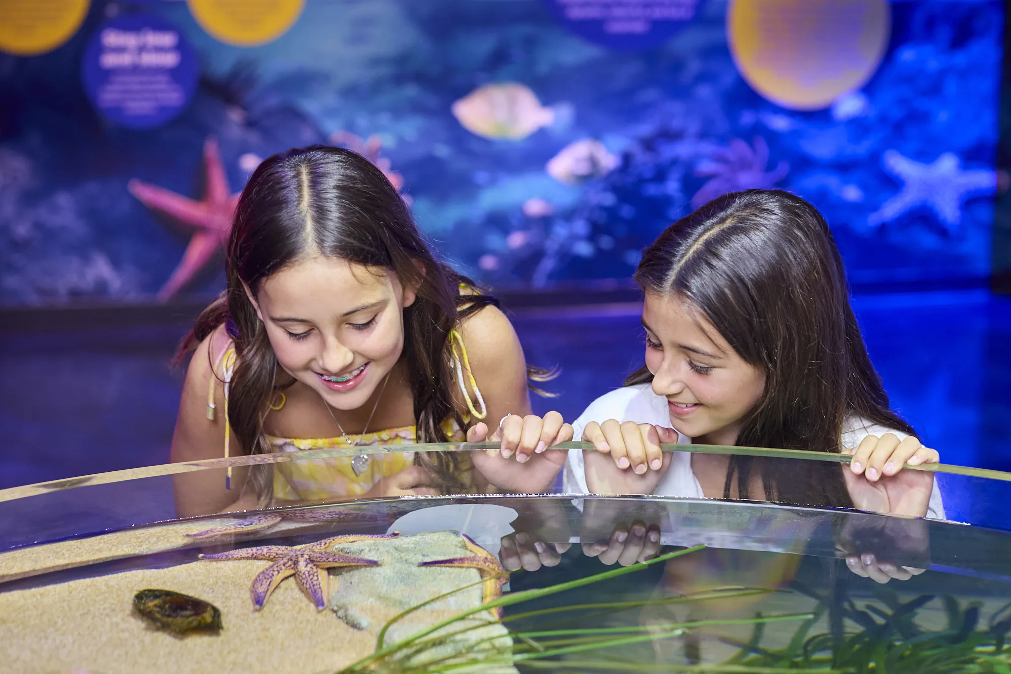 00006 HERO SLMA Rockyshores2025 [USE GLOBAL] [EXP INPERP] Children Look At Rockpool Creatures