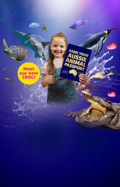 SLM AAP Weblandingpagebanner 1280X390