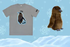 Pesto Merch (1)