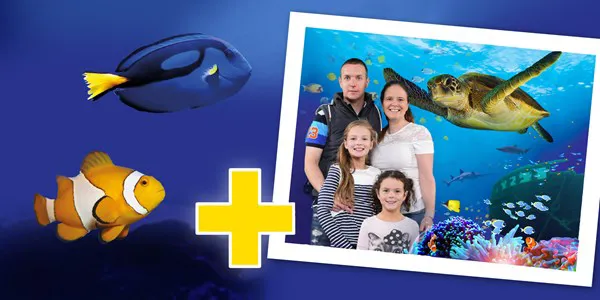 SEA LIFE Ticket + Photo Pass