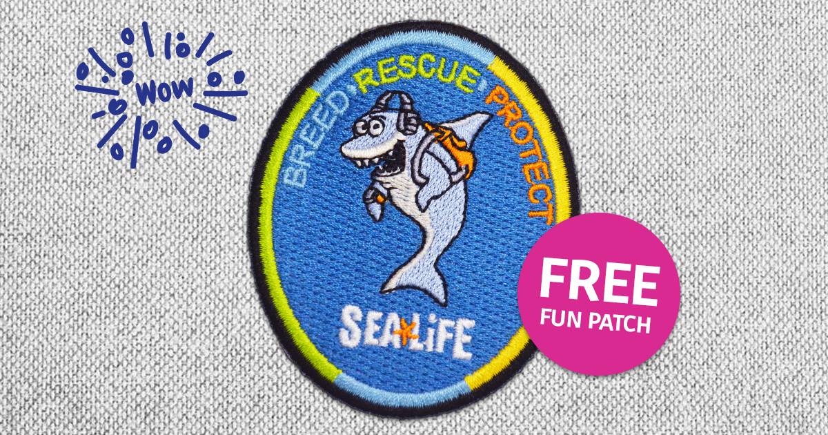 SEA LIFE Scout Days